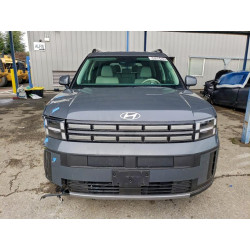 2025 HYUNDAI SANTA FE 5NMP2DG15SH050202 98368405