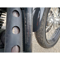 2020 HARLEY-DAVIDSON FXBB 1HD1YJJ1XLB067934 99654645