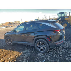2024 HYUNDAI TUCSON KM8JCCD12RU202050 98383415