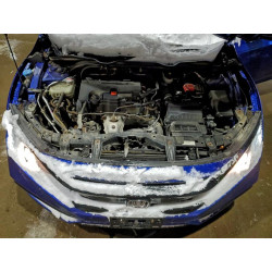 2021 HONDA CIVIC 2HGFC2F82MH505082 96335345