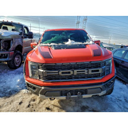 2023 FORD F150 1FTFW1RG2PFB97422 97196165