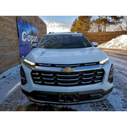 2025 CHEVROLET EQUINOX 3GNAXPEG7SL260973 72560545