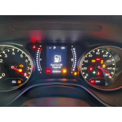 2020 JEEP COMPASS 3C4NJDBB3LT124621 98502565