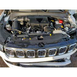 2025 JEEP COMPASS 3C4NJDCN2ST507389 99030915