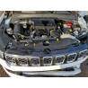 2025 JEEP COMPASS 3C4NJDCN2ST507389 99030915