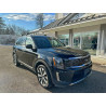 2020 KIA TELLURIDE 5XYP6DHCXLG026848 73502675