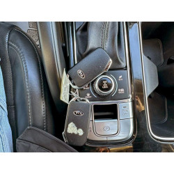 2020 KIA TELLURIDE 5XYP6DHCXLG026848 73502675