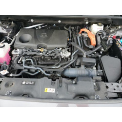2024 TOYOTA RAV4 2T3LWRFVXRW224503 93842505