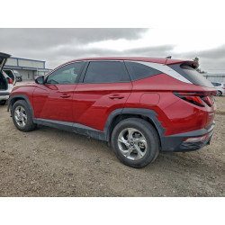 2024 HYUNDAI TUCSON 5NMJA3DE5RH432413 95795315