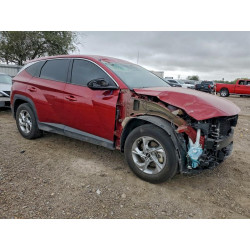2024 HYUNDAI TUCSON 5NMJA3DE5RH432413 95795315
