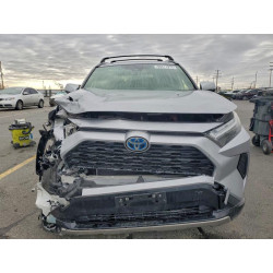 2024 TOYOTA RAV4 JTM16RFV0RD120395 95011975