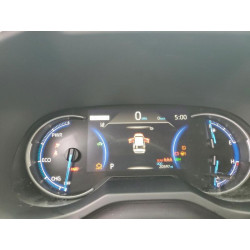 2024 TOYOTA RAV4 JTM16RFV0RD120395 95011975