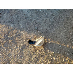 2020 NISSAN ALTIMA 1N4BL4BV2LC194748 91813005