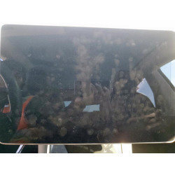 2021 TESLA MODEL Y 5YJYGDED4MF115841 92603715