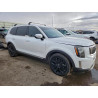 2020 KIA TELLURIDE 5XYP5DHC2LG012512 72519805