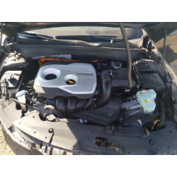 2020 KIA OPTIMA KNAGU4LE4L5037316 81958435