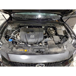 2024 MAZDA CX-50 7MMVABEM0RN188397 94352425