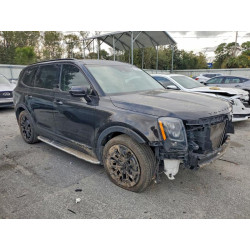 2021 KIA TELLURIDE 5XYP5DHC0MG163592 97215115
