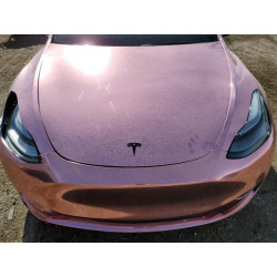 2022 TESLA MODEL Y 7SAYGDEF9NF494566 93145325
