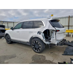 2024 KIA TELLURIDE 5XYP5DGC5RG511251 94183305