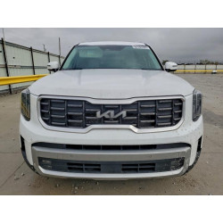 2024 KIA TELLURIDE 5XYP5DGC5RG511251 94183305