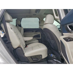 2024 KIA TELLURIDE 5XYP5DGC5RG511251 94183305