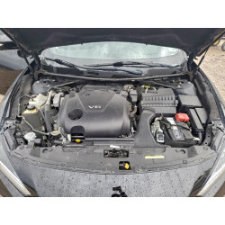 2020 NISSAN MAXIMA 1N4AA6EV4LC382762 98269385