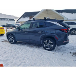 2022 HYUNDAI TUCSON 5NMJFCAE7NH129634 99616465