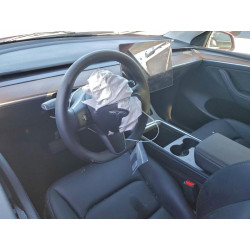 2024 TESLA MODEL Y 7SAYGDEE9RF130581 82751795