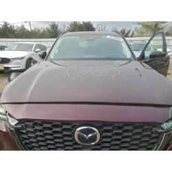 2025 MAZDA CX-90 JM3KKCHD8S1204187 95164695