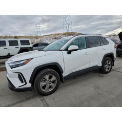 2024 TOYOTA RAV4 2T3P1RFV1RW442586 95937585