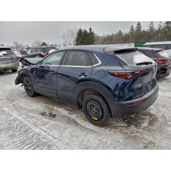 2023 MAZDA CX30 3MVDMBCM2PM539905 98227075