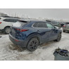 2023 MAZDA CX30 3MVDMBCM2PM539905 98227075