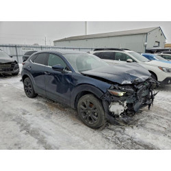 2023 MAZDA CX30 3MVDMBCM2PM539905 98227075