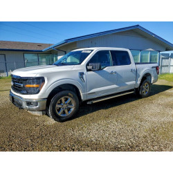 2024 FORD All Models 1FTFW3LD2RFA55259 72741685
