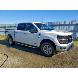 2024 FORD All Models 1FTFW3LD2RFA55259 72741685