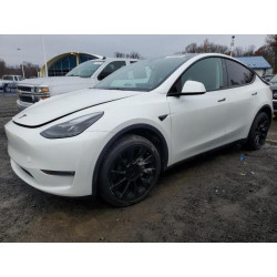 2023 TESLA MODEL Y 7SAYGDEE1PF792250 91564805