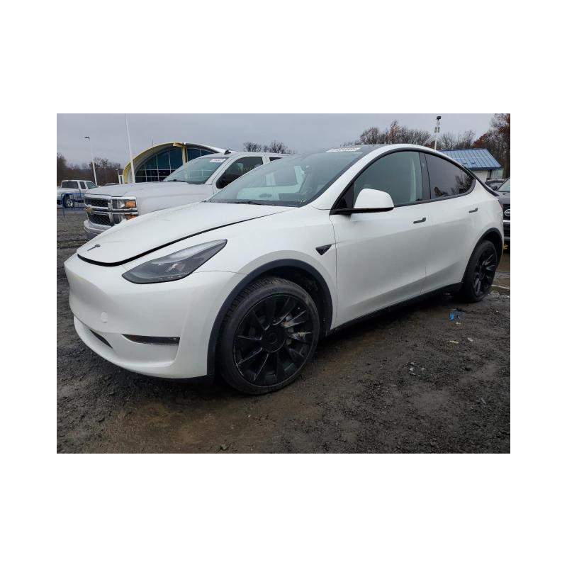 2023 TESLA MODEL Y 7SAYGDEE1PF792250 91564805
