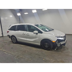 2025 HONDA All Models 5FNRL6H62SB056312 72966025