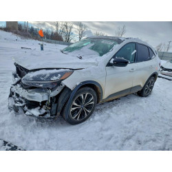 2022 FORD ESCAPE 1FMCU9H97NUA79087 95032625