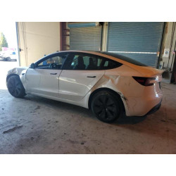 2025 TESLA MODEL 3 5YJ3E1EA6SF920841 87207265