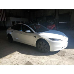2025 TESLA MODEL 3 5YJ3E1EA6SF920841 87207265