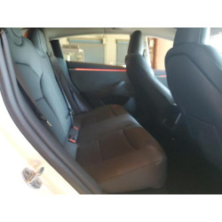 2025 TESLA MODEL 3 5YJ3E1EA6SF920841 87207265