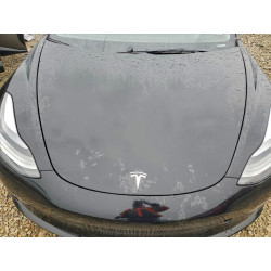 2023 TESLA MODEL 3 5YJ3E1EA4PF456276 99357085