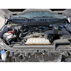 2023 FORD F-150 1FTEW1CPXPFD32828 92907205