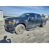 2024 FORD F150 STX 1FTEW2KP1RKE88662 96920625