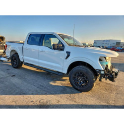 2025 FORD All Models 1FTEW3LP0SKE99890 98163575