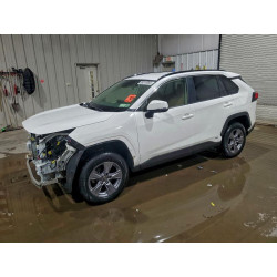 2022 TOYOTA RAV4 JTMMWRFV9ND149241 99518085
