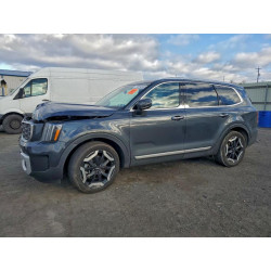 2024 KIA TELLURIDE 5XYP6DGC0RG502258 98593465
