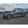 2024 KIA TELLURIDE 5XYP6DGC0RG502258 98593465